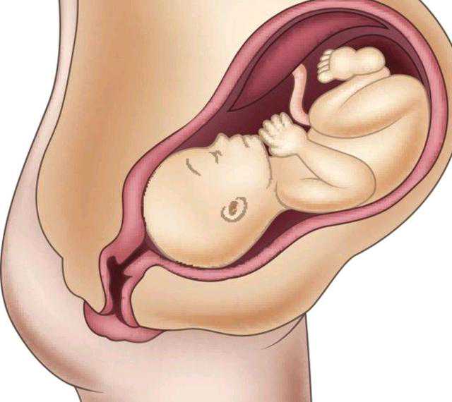 怀孕初期肚子胀气的因与解决方法