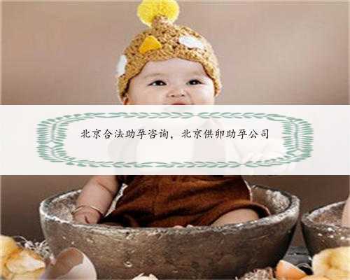 北京合法助孕咨询，北京供卵助孕公司