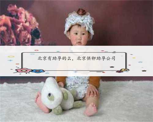 北京有助孕的么，北京供卵助孕公司