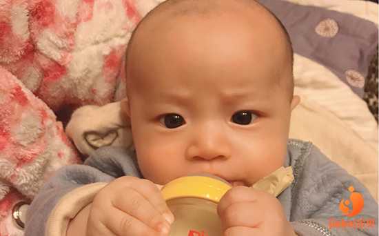 广州供卵试管怀孕成功率高吗
