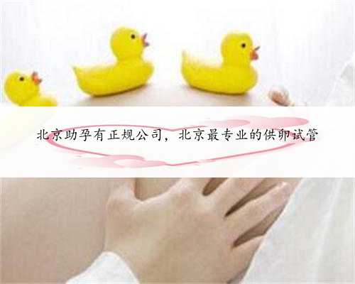 北京助孕有正规公司，北京最专业的供卵试管