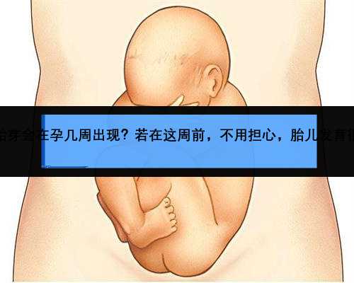 胎心胎芽会在孕几周出现？若在这周前，不用担心，胎儿发育很正常